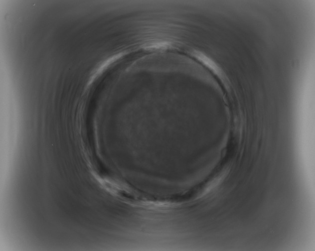 X0000083990577200703091847