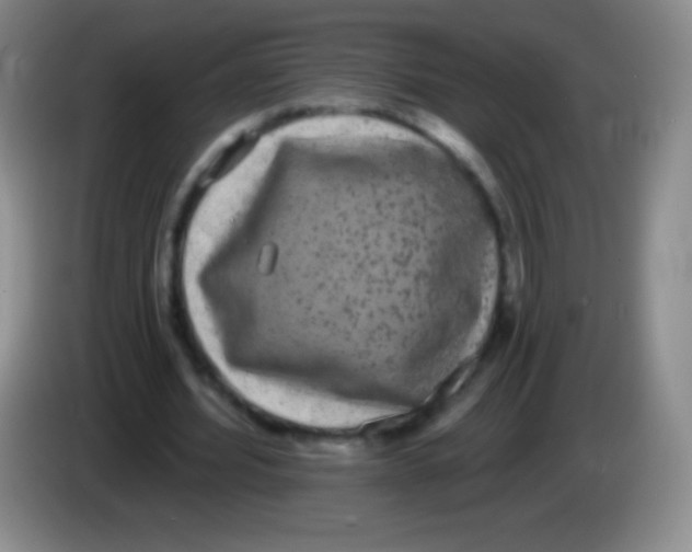 X0000083990580200703091847