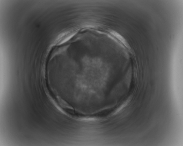 X0000083990581200703091847