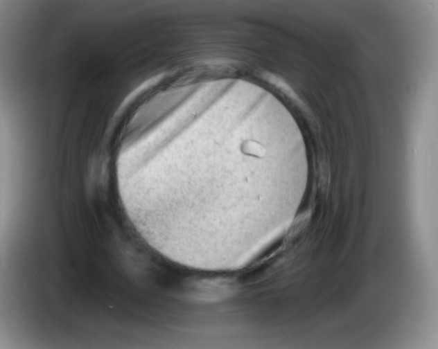 X0000083990583200703091847