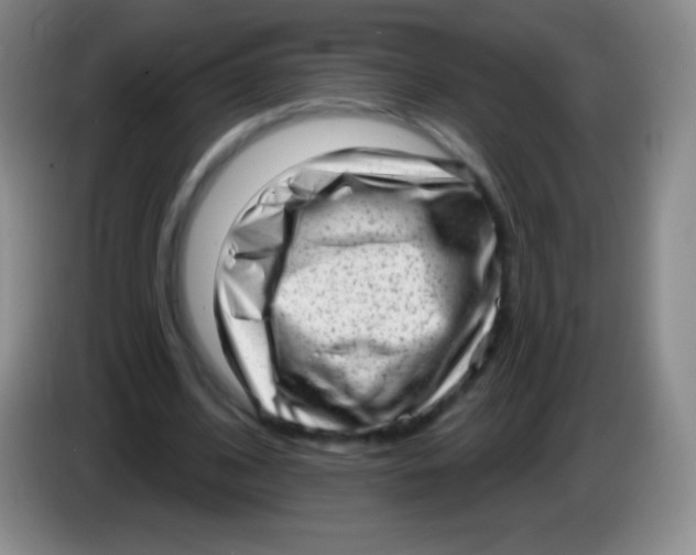 X0000083990584200703091847