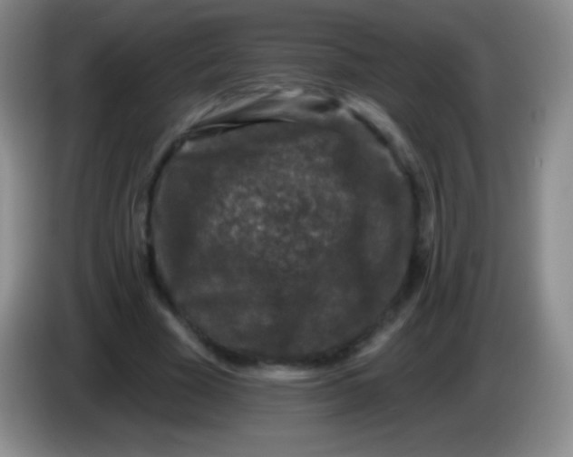 X0000083990585200703091847