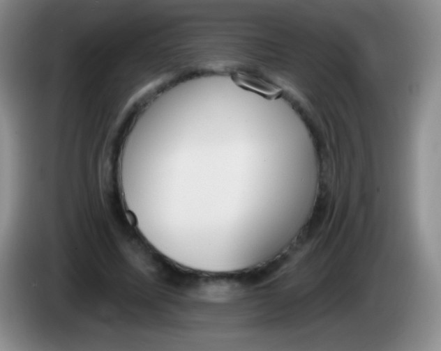 X0000083990587200703091847