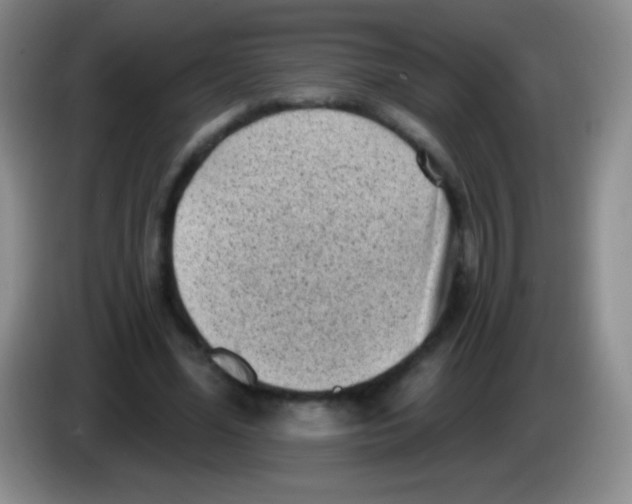 X0000083990588200703091847