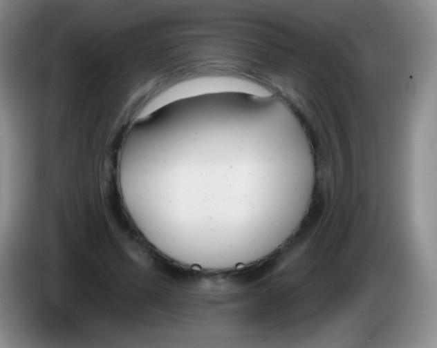 X0000083990591200703091847