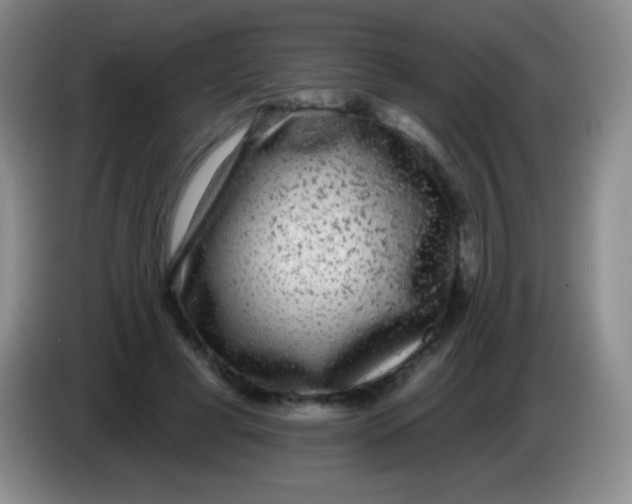 X0000083990593200703091847