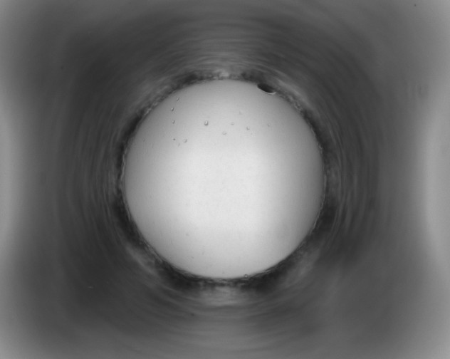 X0000083990594200703091847