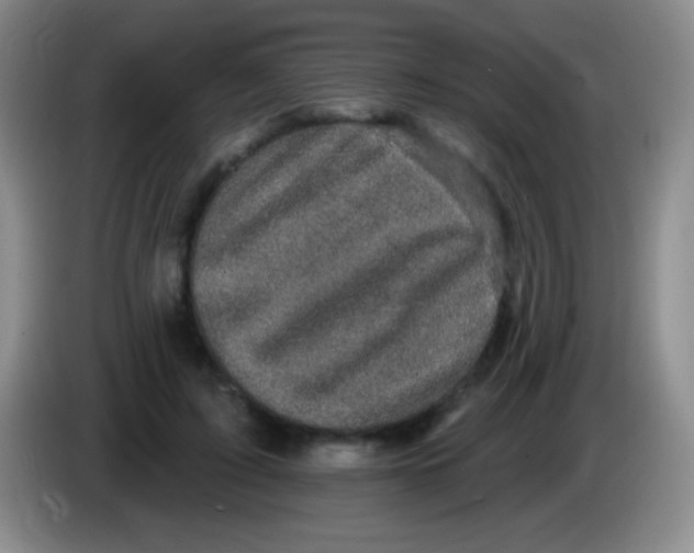 X0000083990595200703091847