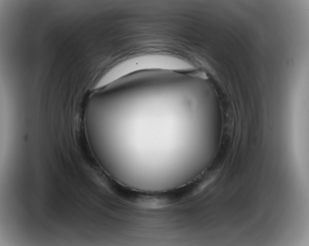 X0000083990597200703091847