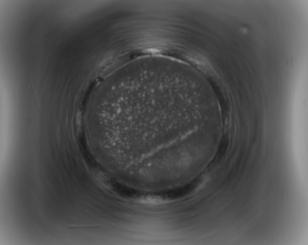 X0000083990598200703091847