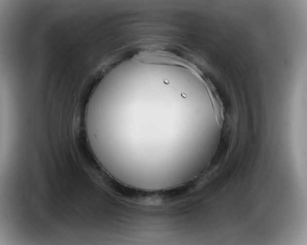 X0000083990600200703091847