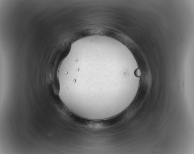 X0000083990602200703091847