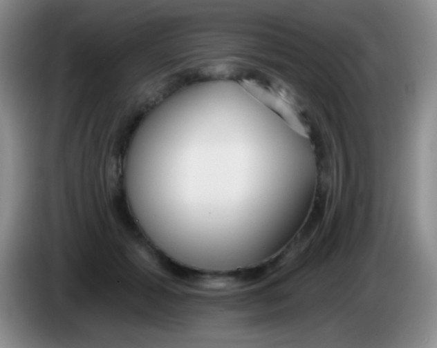 X0000083990605200703091847