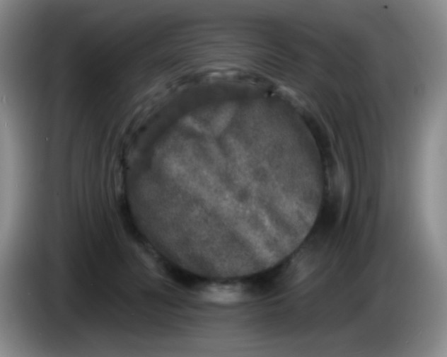 X0000083990606200703091847