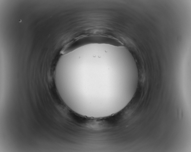 X0000083990607200703091847