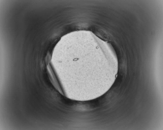 X0000083990608200703091847