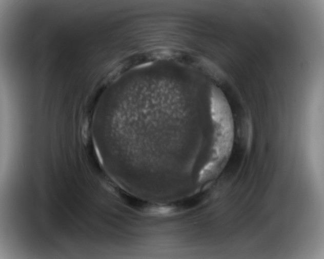 X0000083990610200703091847