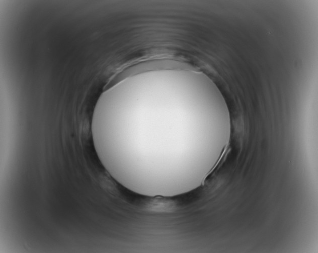 X0000083990617200703091846