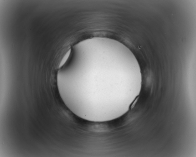 X0000083990619200703091846