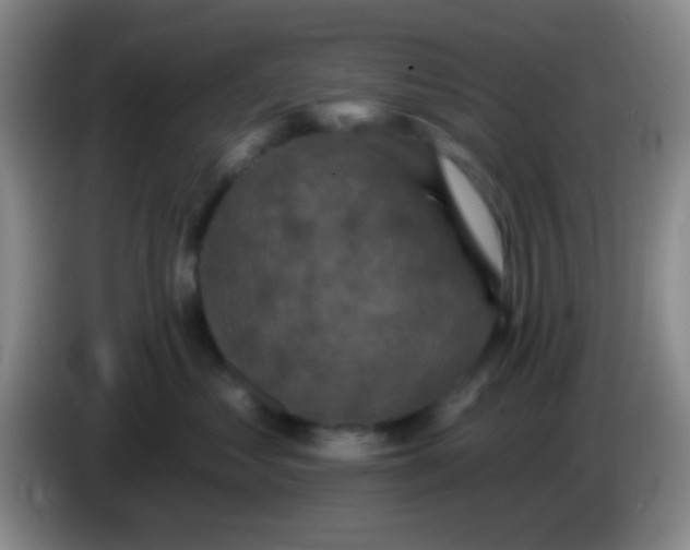 X0000083990621200703091846