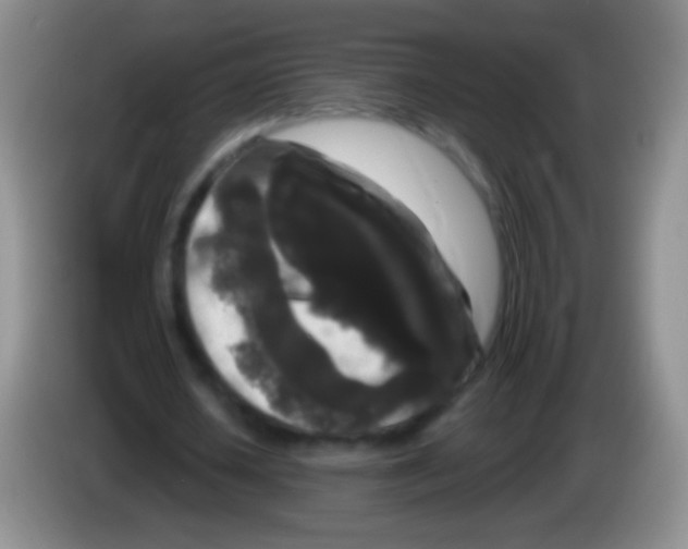 X0000083990626200703091846