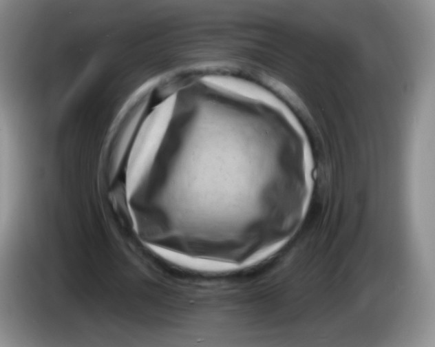 X0000083990628200703091846