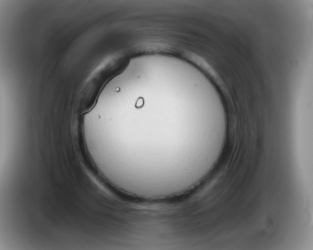 X0000083990629200703091846