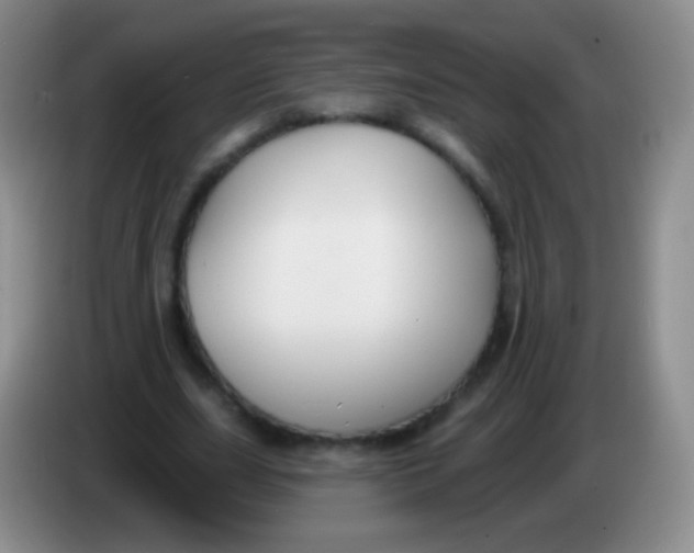 X0000083990631200703091846