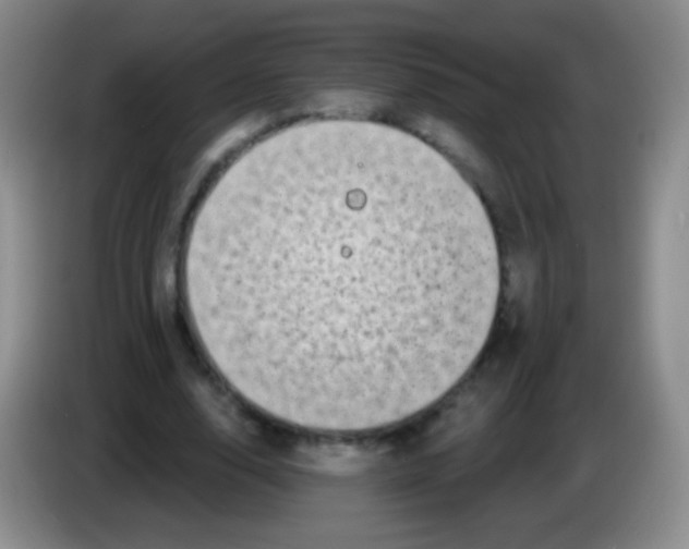 X0000083990632200703091846