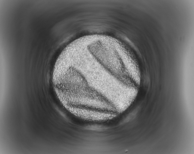 X0000083990637200703091846