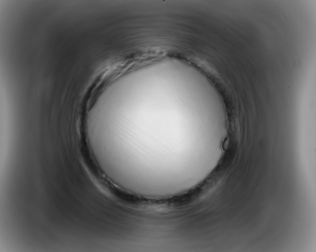 X0000083990638200703091846