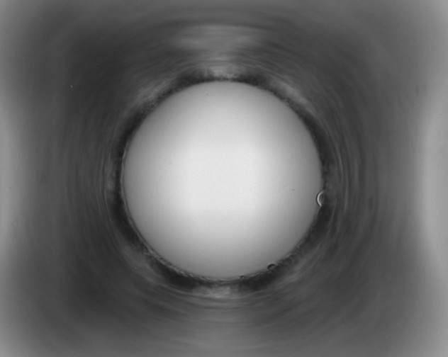 X0000083990639200703091846