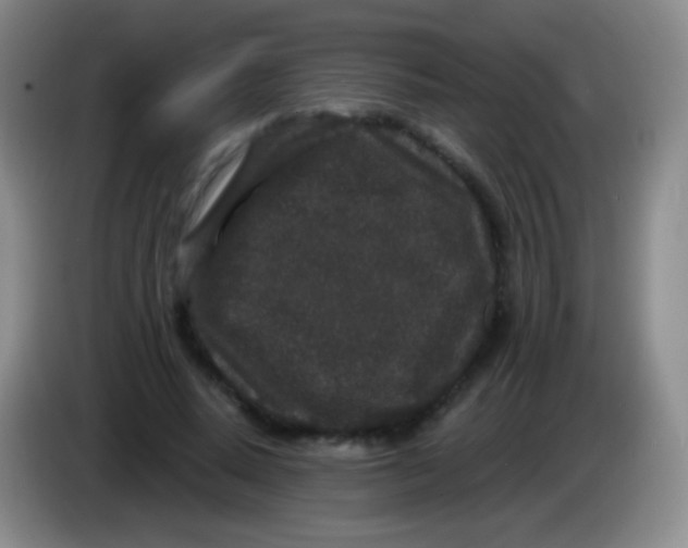 X0000083990640200703091846