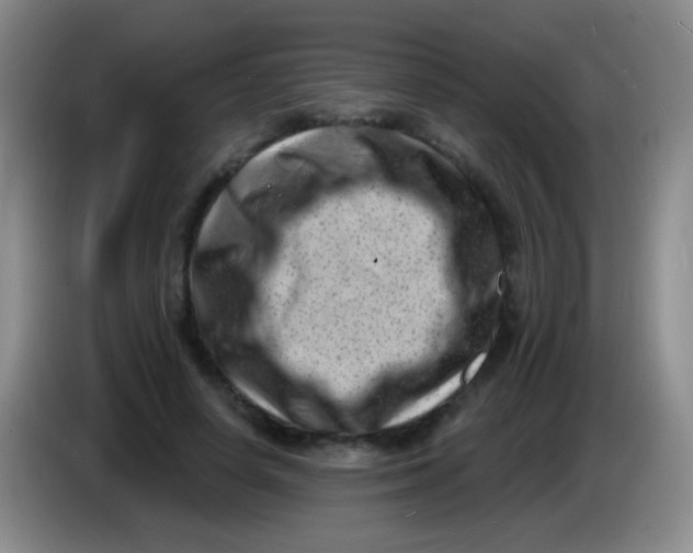 X0000083990642200703091846