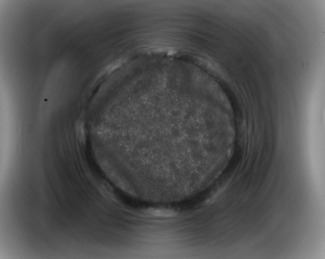 X0000083990644200703091846