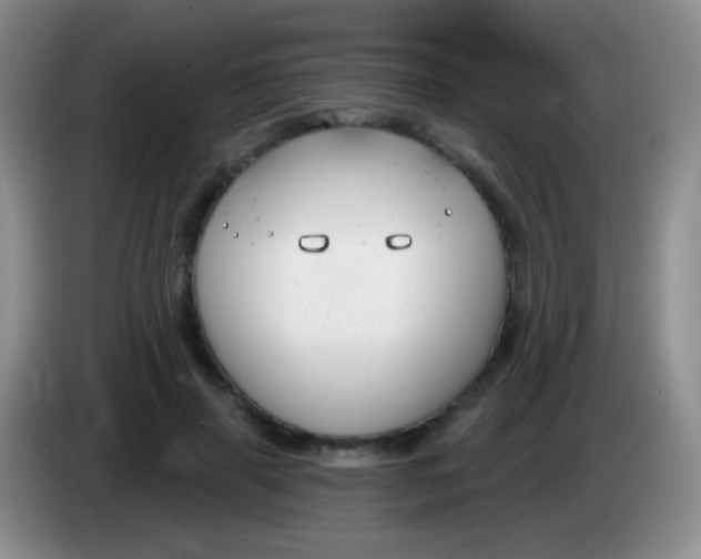 X0000083990645200703091846