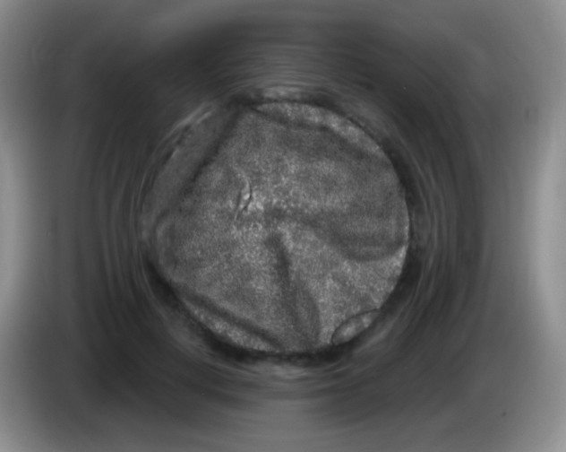 X0000083990648200703091846