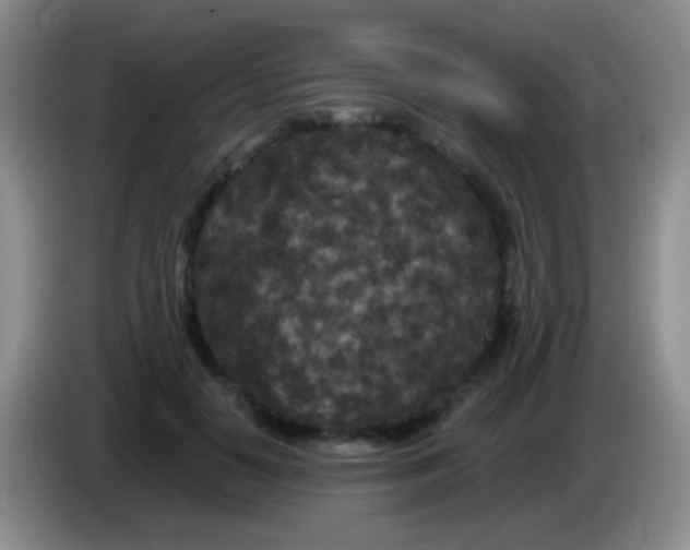 X0000083990650200703091846