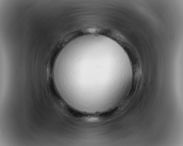 X0000083990651200703091846