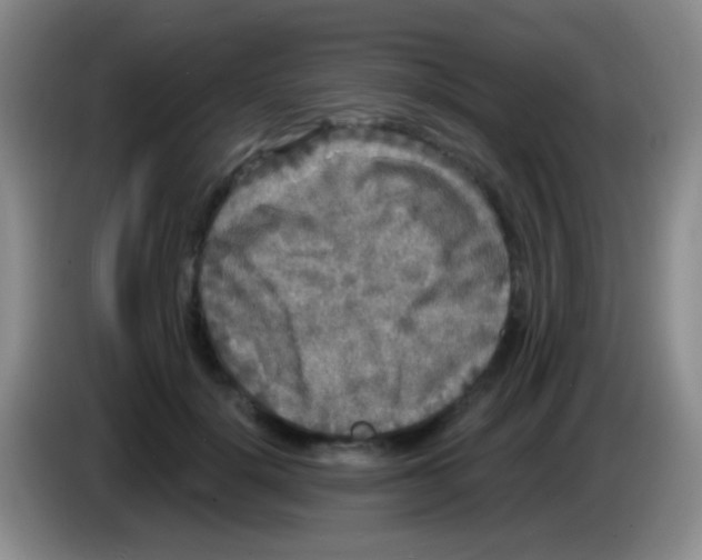 X0000083990652200703091846