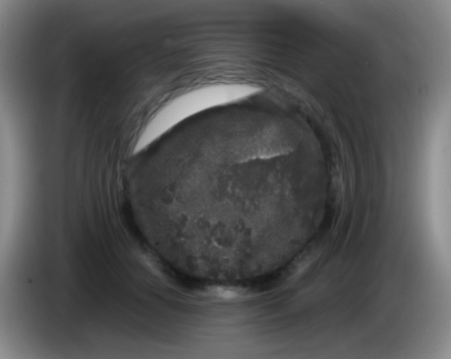 X0000083990654200703091846