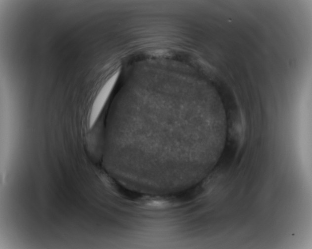 X0000083990658200703091846