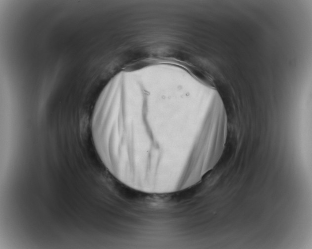 X0000083990660200703091846