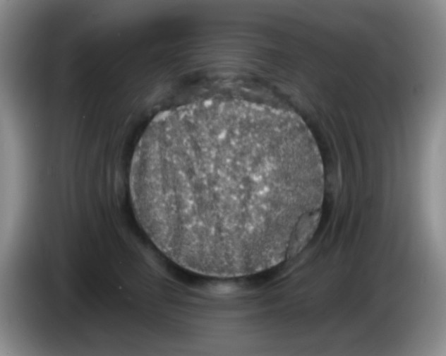 X0000083990662200703091846