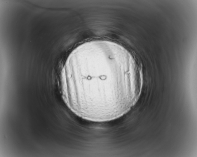 X0000083990664200703091846