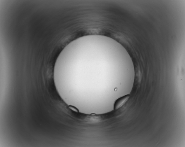 X0000083990665200703091846