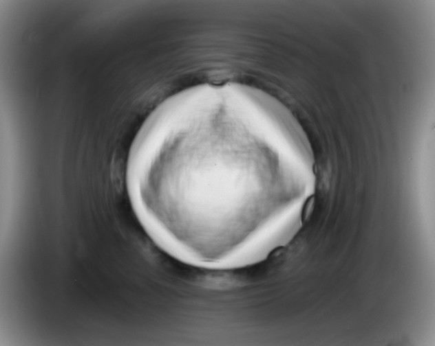 X0000083990666200703091846