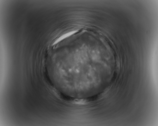 X0000083990667200703091846