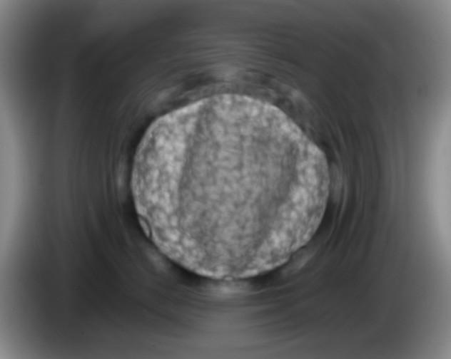 X0000083990670200703091846