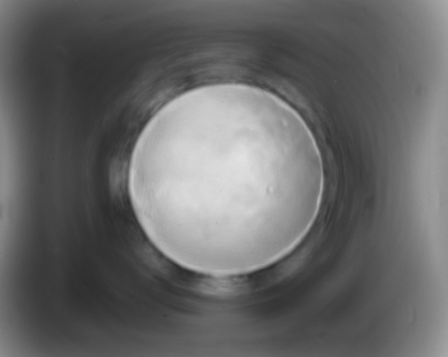 X0000083990672200703091846